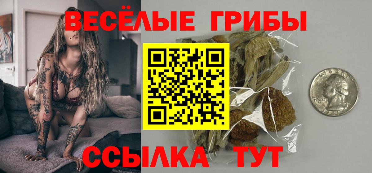 Псилоцибиновые грибы MAGIC MUSHROOMS  Псилоцибиновые грибы прущие грибы  Вход с VPN  Саратов 