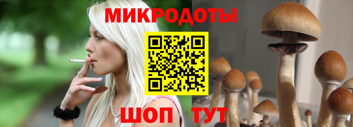 Галлюциногенные грибы Cubensis Саратов